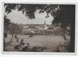 Les Moutiers En Cinglais, Vue Village, Prairie,  Vache - Autres & Non Classés