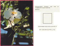 Singapore Orchid Phalaenoosis Many Hybrids,1978's MCE31 DISTRIBUTED EXCLUSIVELY BY VISCOM (S) PTE. LTD.Vintage UNC_cpc - Singapore