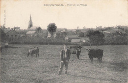 59 GODEWAERSVELDE PANORAMA VILLAGE - VACHES - 614 - Other & Unclassified