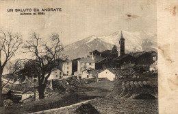 ANDRATE, Torino - Panorama - VG - #028 - Autres & Non Classés
