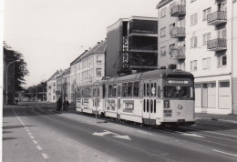 Trondheim Sporvei. Elgeseter. Photo, No Postcard 14 X 9,5 Cm. * - Noruega