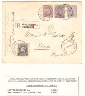 Entier Enveloppe-Lettre N°19 + TP Expédiée En Recommandée Obl. BXL QL 31/1/21 > Edam Pays - Bas - Lettres & Documents