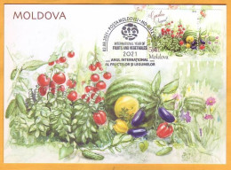 2021 Moldova Moldavie Maxicard  Vegetables, Tomatoes, Cucumbers, Eggplants, Watermelon, Melon - Moldova