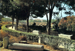 Syracuse - Entrée De L'amphithéâtre Romain - Sarcophages Grecs - Siracusa