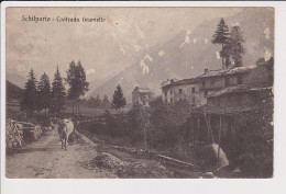 Italia 1925 ?? Schilpario Contrada Grumello Bergamo FP VG 2 Scan - Otros & Sin Clasificación