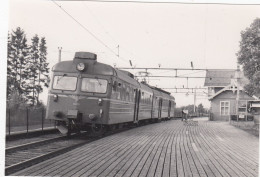 Tr. Arnas-Oslo-Skoyen. Arnas. Photo, No Postcard 14 X 9,5 Cm. * - Norvegia