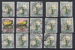 Congo Belge Fleur  Nya Lukemba Bukavu - Used Stamps