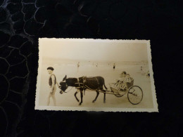 P-377 , Photo , Attelage D'âne Sur La Plage De La Baule, Août 1939 - Luoghi