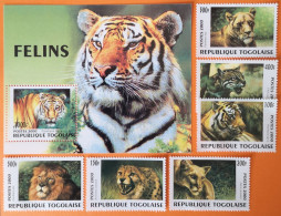 Togo 2000 Tiger Und Andere Großkatzen Mi 2991/96** + Block 449** - Togo (1960-...)