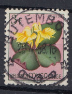 Congo Belge Fleur  Butembo - Gebraucht