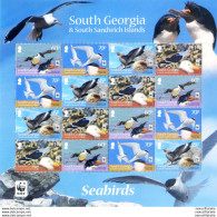 South Georgia. Fauna. WWF. Uccelli 2012. - Falkland