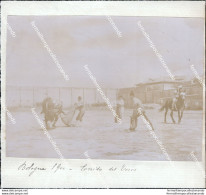 Au311 Foto Incollata Su Carta Bologna Citta' 1900 Militari - Bologna