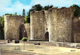 80 - Péronne - Entrée Du Château - Peronne