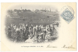 Cpa. 21 Vendanges à BEAUNE  (Prècurseur) 1904  Ed. G.L. - Beaune