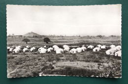 Maisons Ballon Et Le Phare Des Mamelles, Ed Cerbelot, N° 1042 - Sénégal