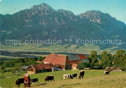 73106305 Strobl Alm Am Hoegel Hochstaufen Zwiesel Strobl - Altri & Non Classificati