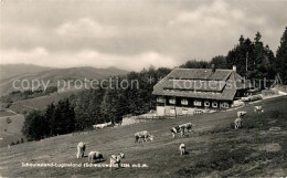 73106215 Schauinsland Luginsland Panorama Schauinsland - Andere & Zonder Classificatie