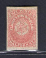 1862-64 TERRANOVA - NEWFOUNDLAND - SG 21 - 6 1/2 D. Rose Lake - MH* - Andere & Zonder Classificatie