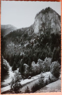 CARTE LANS EN VERCORS - 38 - LES GORGES D'ENGINS & LE BEC DE L'AIGLE - SCAN RECTO/VERSO - 4 - Other & Unclassified