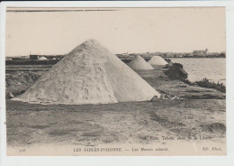 LES SABLES D'OLONNE - VENDEE - LES MARAIS SALANTS - Sables D'Olonne