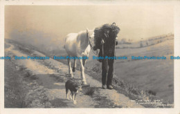 R062147 The Cast Shoe. A Lakeland Shepherd. Abraham. No 497. RP. 1915 - World