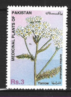 PAKISTAN. N°935 De 1996. Plante Médicinale. - Plantes Médicinales