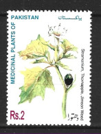 PAKISTAN. N°960 De 1998. Plante Médicinale. - Plantes Médicinales