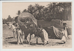 PROBABLEMENT ALGERIE - OASIS SAHARIENNE - CHARGEMENT D'UN BASSOUR - Métiers