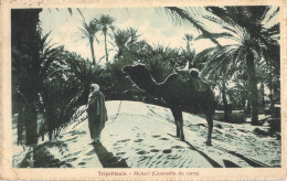 26888 " TRIPOLITANIA-MEHARI (CAMMELLO DA CORSA) " ANIMATA-CART.POST. SPED.1926 - Libye