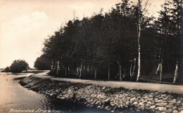 Postcard Sweden Real Photo Kristianstad Strandvägen Trail Lake Forest - Schweden