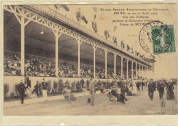 Grande Semaine Aéronautique De Champagne - Reims, 22 Au 29 Août 1909 - Vue Des Tribunes Pendant Le Concours D'Aviation.. - Altri & Non Classificati