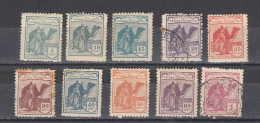 Spanish Sahara 1924 Nomada Con Un Camello - Set To 1 P. (2-183) - Spanische Sahara