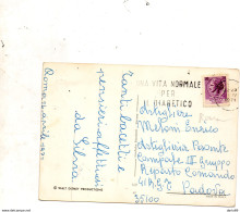 1971  CARTOLINA   CON ANNULLO    ROMA     +    TARGHETTA   UNA VITA NORMALE PER IL DIABETICO - 1971-80: Poststempel