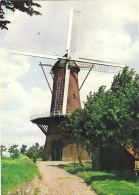 THE WINDMILL AT HULST, ZEELAND, HOLLAND. UNUSED POSTCARD My5 - Hulst