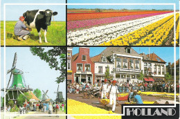 SCENES FROM HOLLAND. UNUSED POSTCARD My5 - Otros & Sin Clasificación