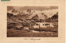 La Baignade Des Vaches - Cows