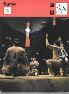 GF1027 - FICHE RENCONTRE - SUMO - Martial Arts