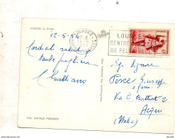 1954  CARTOLINA CON ANNULLO  LOURDES  + TARGHETTA - Lettres & Documents