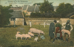 14)   Scènes De La Vie Normande  - Veyon La Mère ! Combien C' Petit Gorin ?  (  Marchand De Cochons ) - Sonstige & Ohne Zuordnung