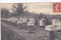 91 BRUYERES LES SCELLES RUCHER RUCHE APICULTURE - Sonstige & Ohne Zuordnung