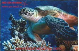 RED SEA RIVIERA (Leatherback Turtle) Postcard.  New-unused - Turtles