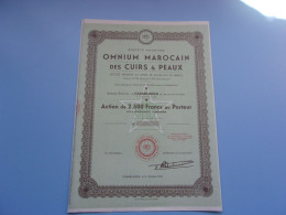 OMNIUM MAROCAIN DES CUIRS & PEAUX Casablanca MAROC) - Other & Unclassified