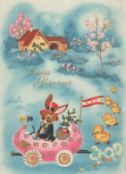 PASQUA CONIGLIO Vintage Cartolina CPSM #PBO473.A - Pâques