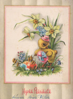 EASTER EGG Vintage Postcard CPSM #PBO211.A - Pascua