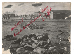 PHOTO     CAMP DE BELSEN    Photo LAPI. Avril 1945     NO COMMENT   22 X 17    (1581)  Cartonné - Personas Anónimos