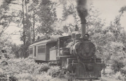 Transport FERROVIAIRE Vintage Carte Postale CPSMF #PAA384.A - Trains