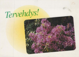 FLORES Vintage Tarjeta Postal CPSM #PBZ240.A - Flowers