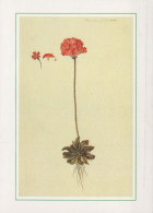 FIORI Vintage Cartolina CPSM #PAS446.A - Flowers