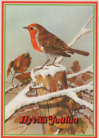 VOGEL Tier Vintage Ansichtskarte Postkarte CPSM #PAN021.A - Oiseaux