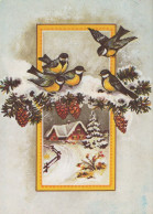 OISEAU Animaux Vintage Carte Postale CPSM #PAM784.A - Oiseaux